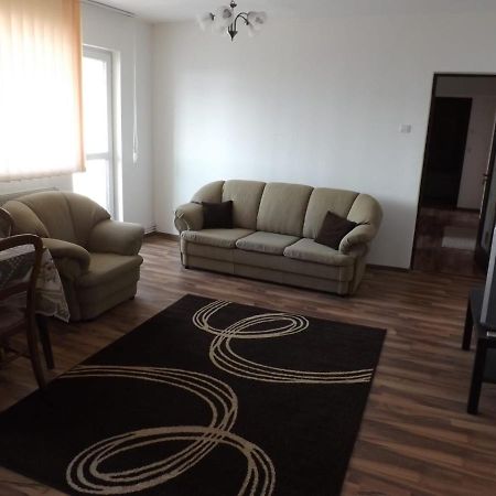 Mountain View Apartment Câmpulung Bagian luar foto