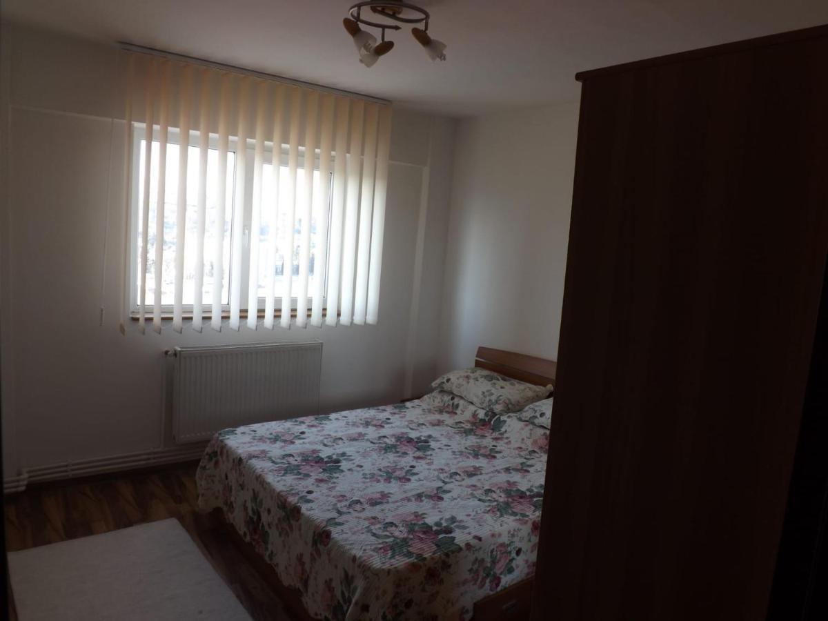 Mountain View Apartment Câmpulung Bagian luar foto